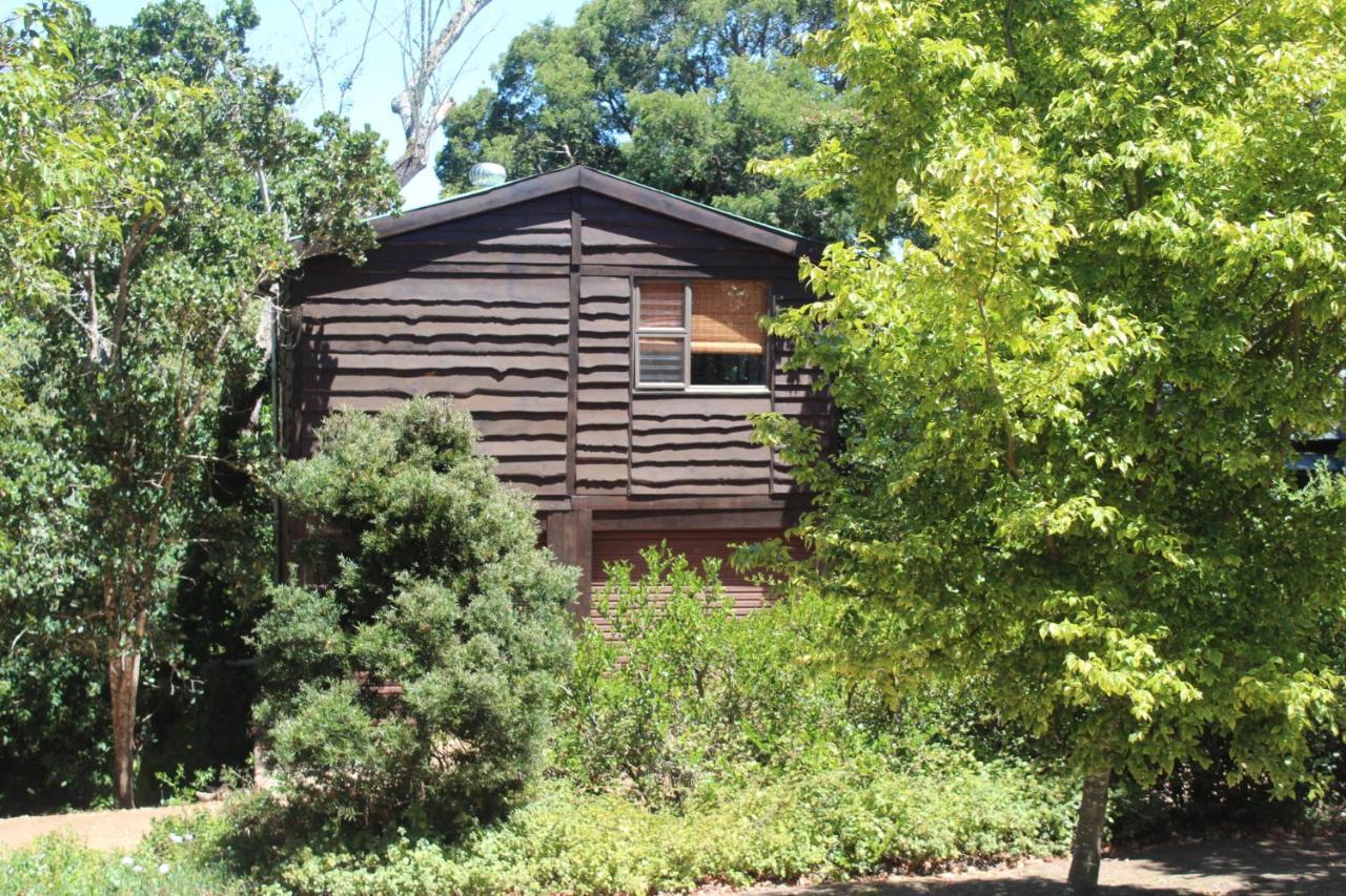 Treehouse Cottage The Crags Экстерьер фото